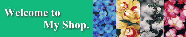 Welcome to My Shop.