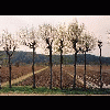 02-01.jpg
