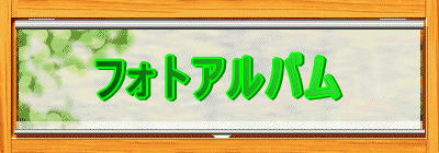 �t�H�g�A���o��