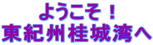 �悤�����I ���I�B�j��p�� 