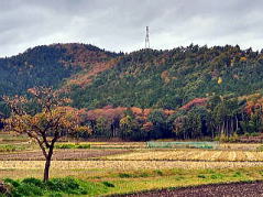 横山城趾