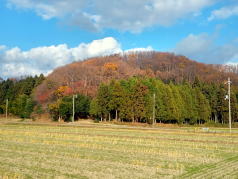 横山城趾