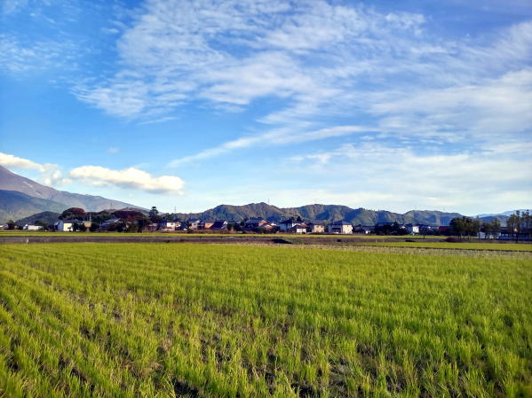 横山城趾遠景