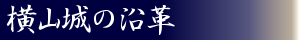 横山城の沿革