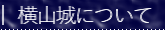 横山城について