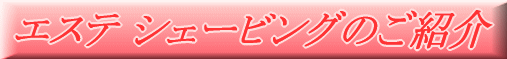 �G�X�e�V�F�[�r���O�̂��Љ�@