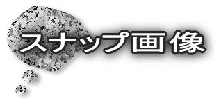 Xibv摜
