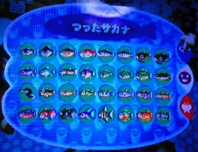 TJi̎ʐ^