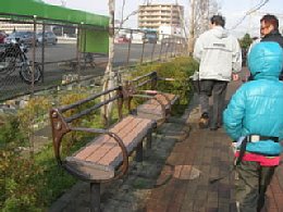 いろいろなベンチの写真