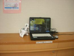 盲導犬の普及啓発DVDの写真