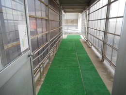 体育館への連絡通路の写真