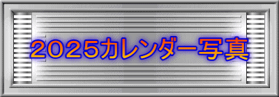 �Q�O�Q�T�J�����_�[�ʐ^